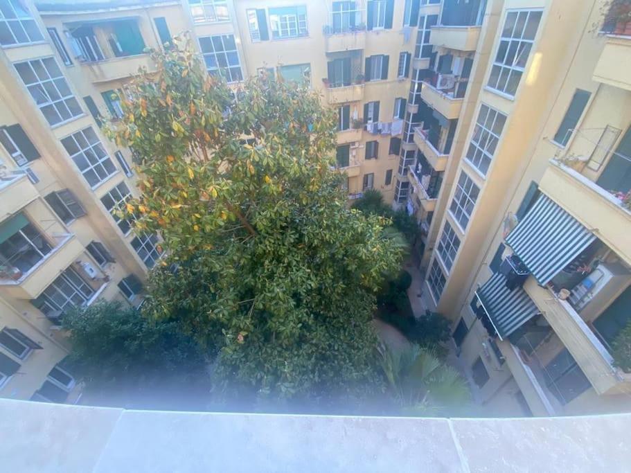 Domus Giulia & Andrea Appartement Rome Buitenkant foto